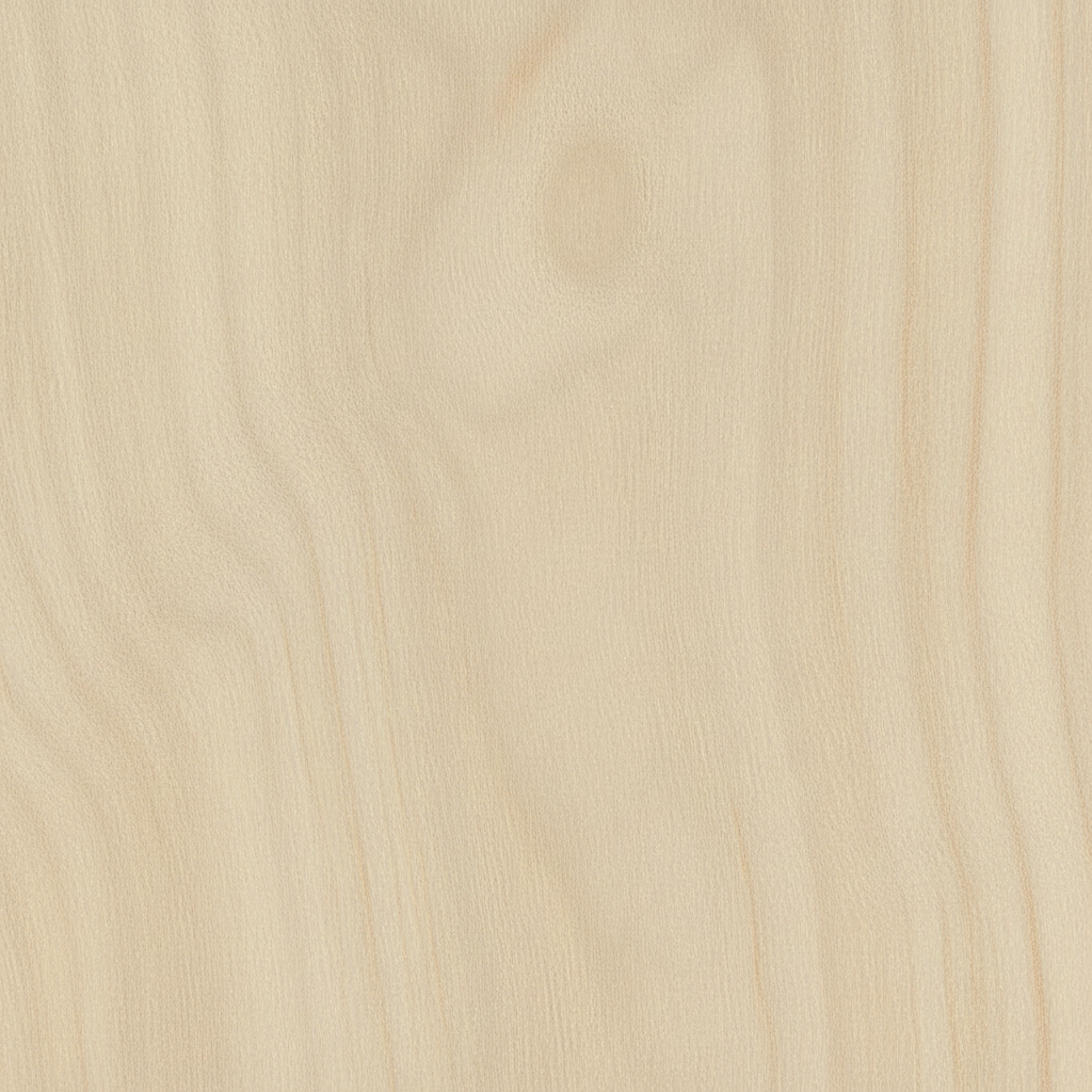 Basswood